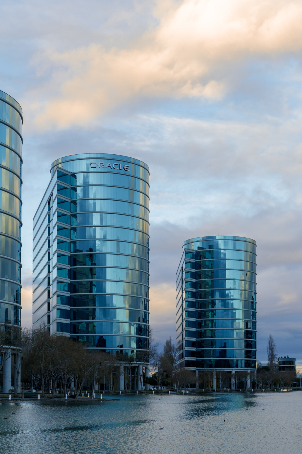 Family Companies: Tax Issues in Shareholding Structures